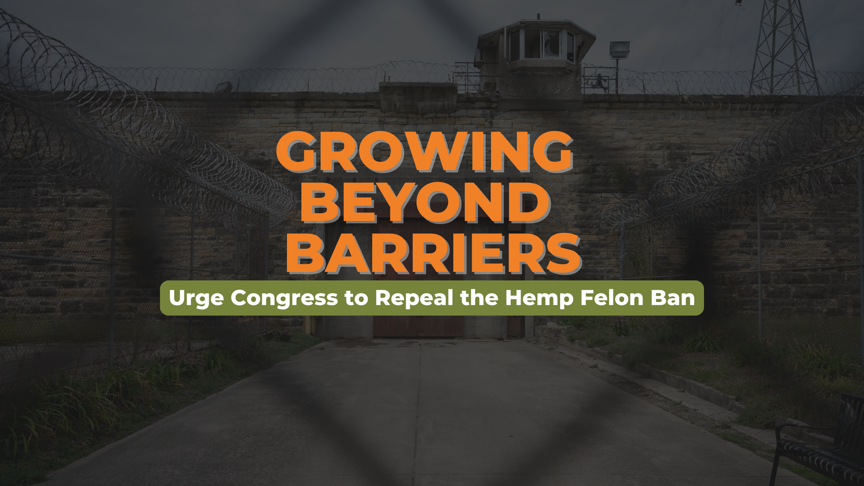 Urge Congress to Repeal the Hemp Felon Ban