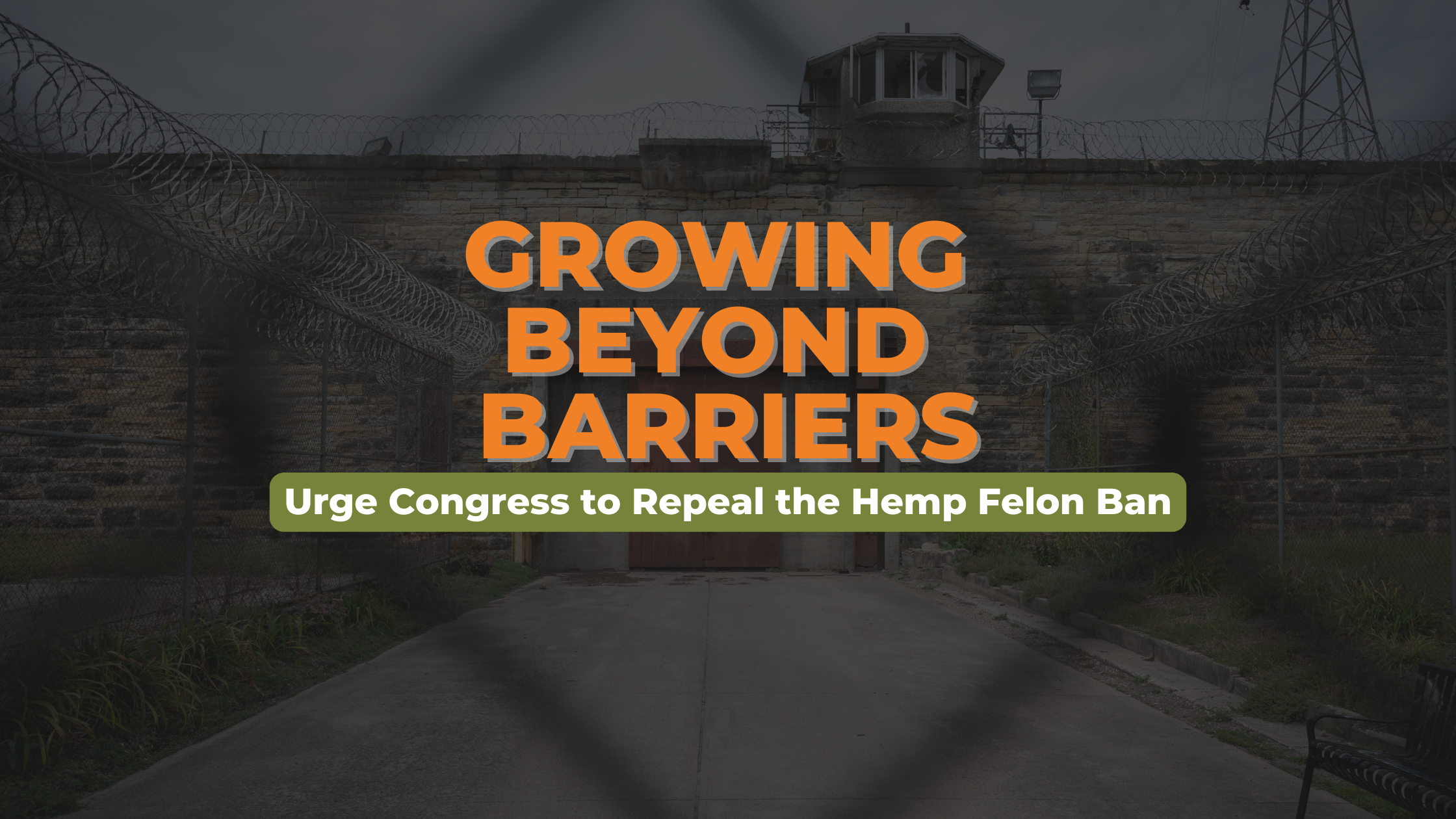 Urge Congress to Repeal the Hemp Felon Ban