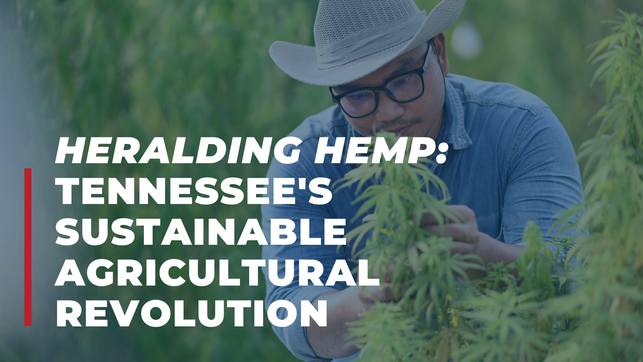 Heralding Hemp: Tennessee's Sustainable Agricultural Revolution