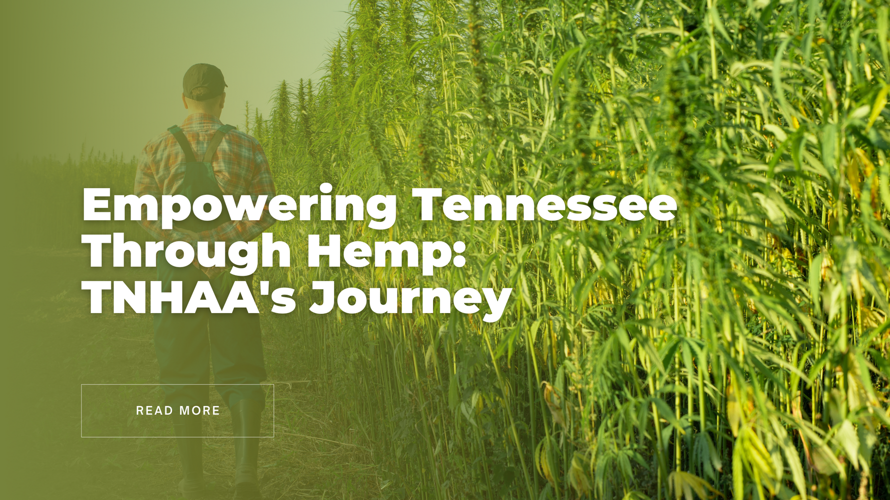 Empowering Tennessee Through Hemp: TNHAA's Journey