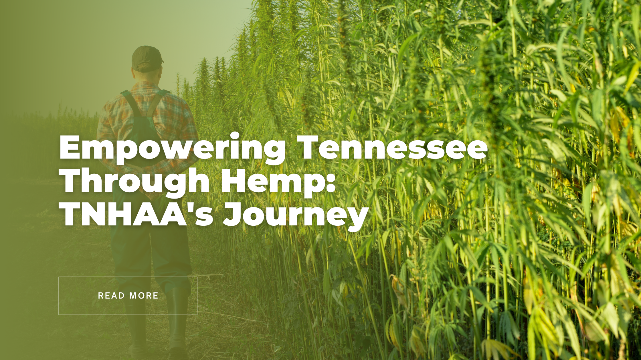 Empowering Tennessee Through Hemp: TNHAA's Journey