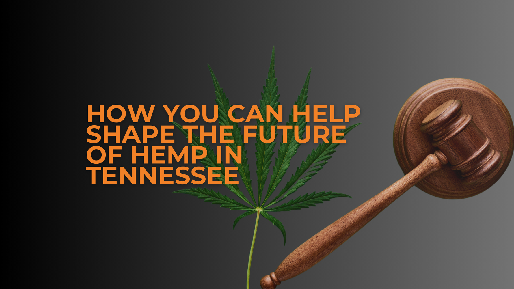 How You Can Help Shape the Future of Hemp in Tennessee